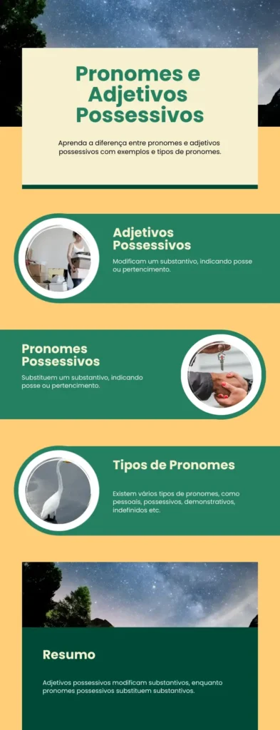 Pronomes possessivos